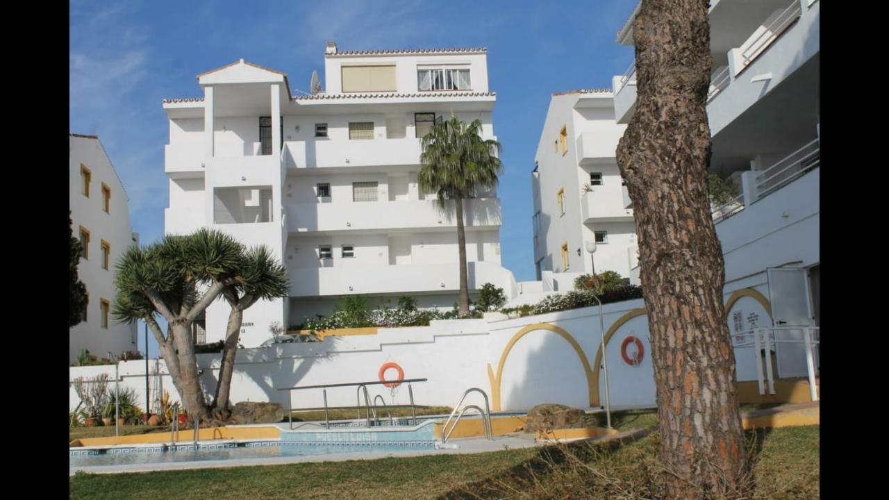 La Cala Sunflower
